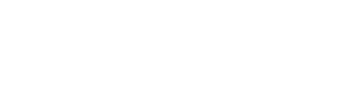 Logo PVZ-20